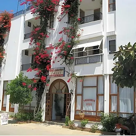 Sardunya Hotel 4*