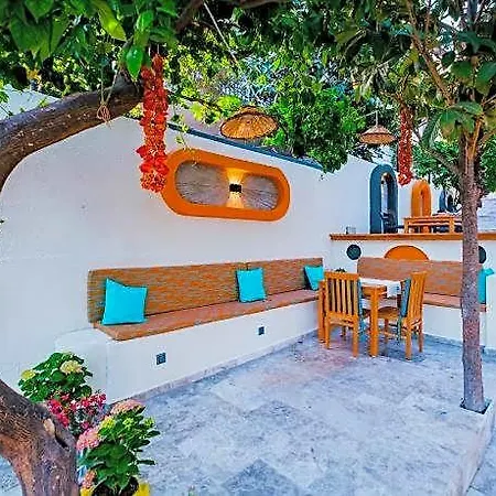 Sardunya فندق كاس