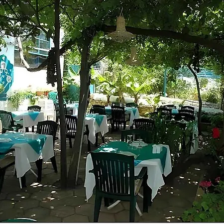 Hotel Sardunya 4*