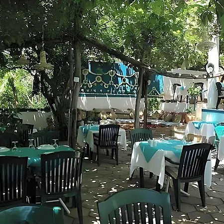 Sardunya كاس