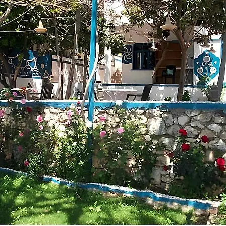 Sardunya 4* كاس