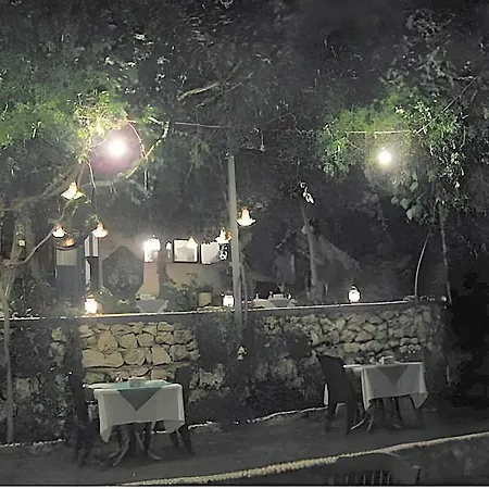 Sardunya